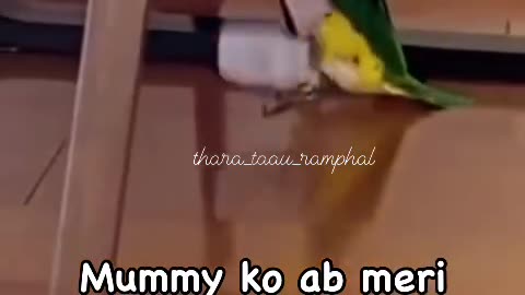 Maa ko apne bete ki koi cinta hi nahi hai 😂😂😂