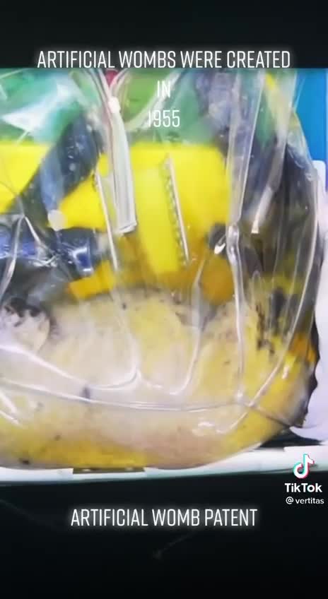 Artificial Wombs Created In 1955