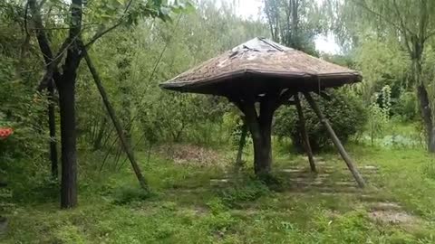 the mushroom house