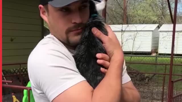 Unlikely Animals Friendships