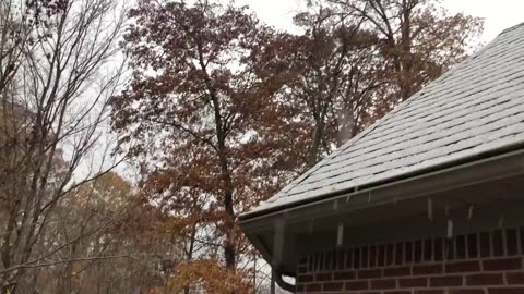 November 14, 2021 - 8:48 a.m. on My Back Deck