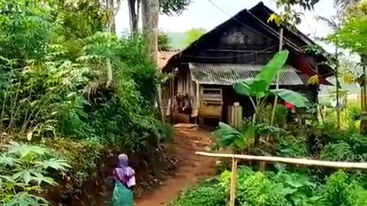 footpath that leads to the rice fields