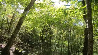 Colers Oscars Loop