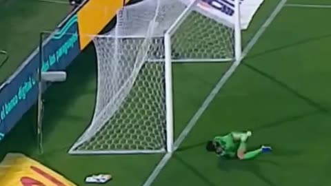 Paraguay Goal Against Brazil !!