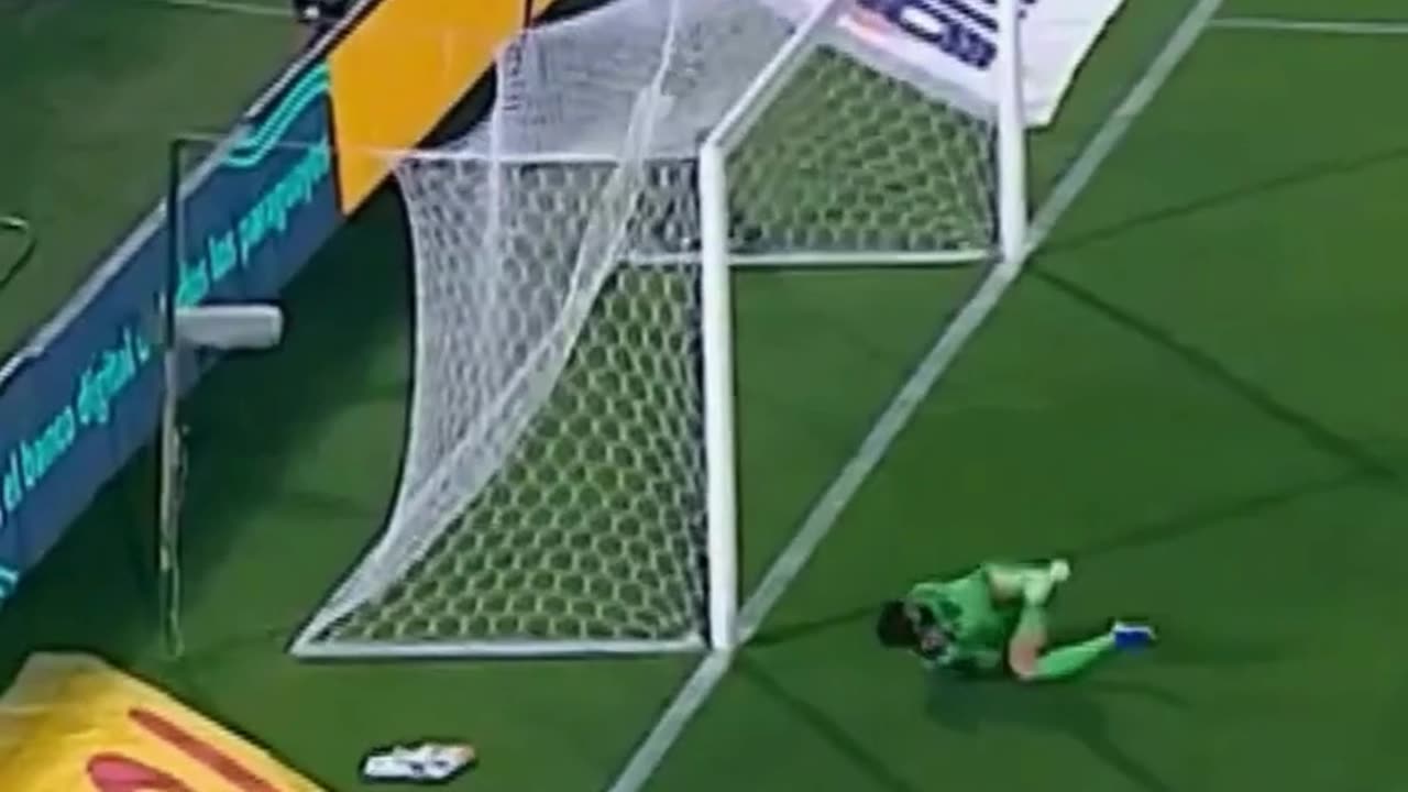 Paraguay Goal Against Brazil !!