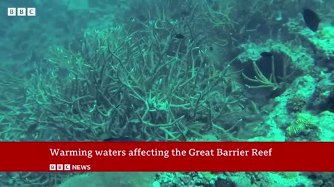 Climate change: 400-year record heat threat to Great Barrier Reef