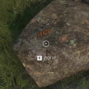 It's a Poop, No I meant Relic Hunter Call of the Wild