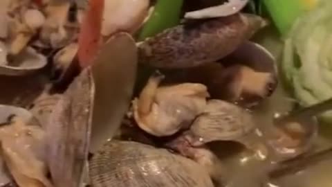 Clam Seafood Soup