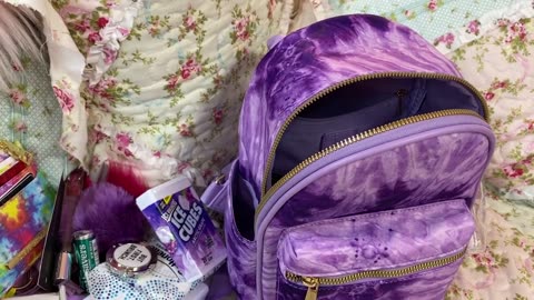 What's in my Purple Mini Backpack from Ross for 19.99