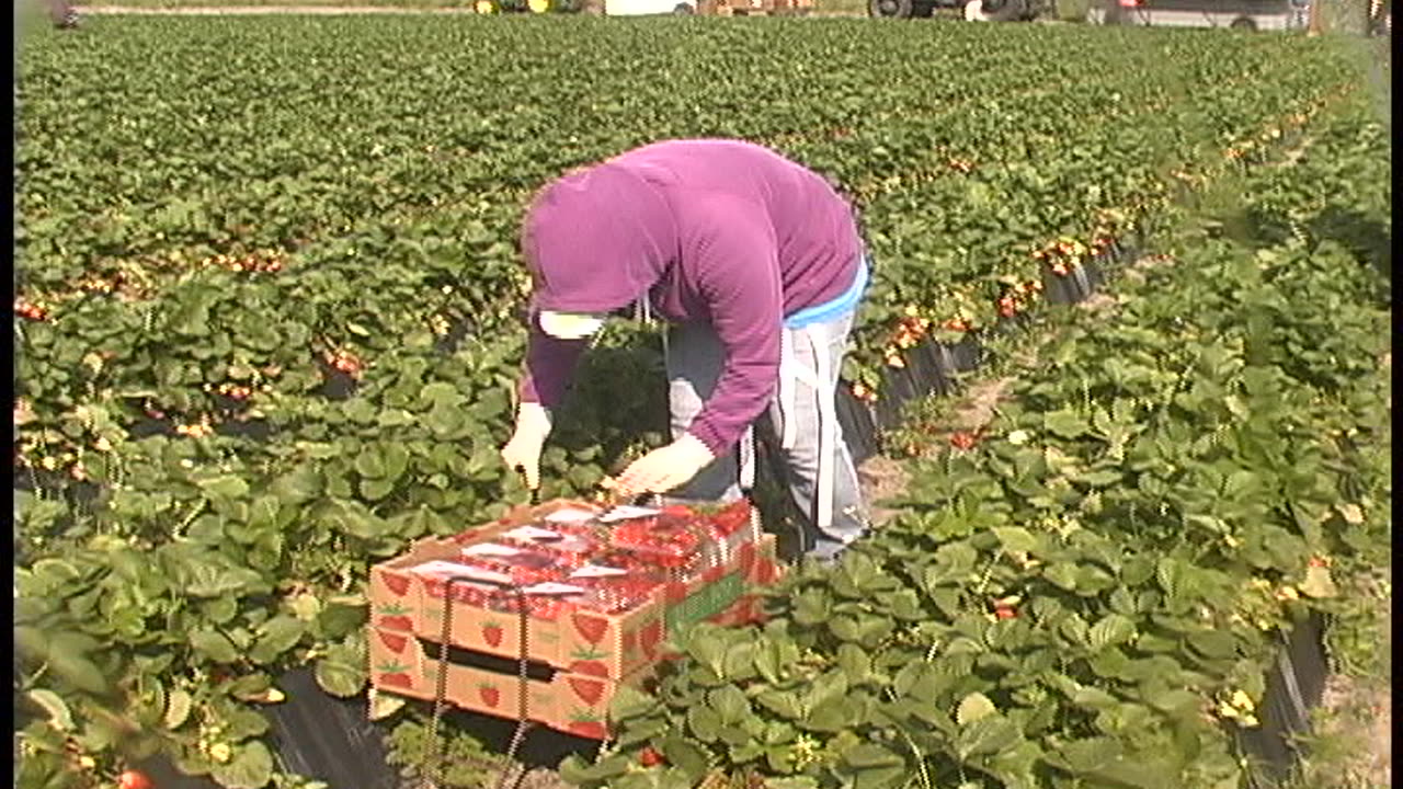 Florida Fruit Association