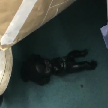 Black painted doll hidden underneath subway train seats
