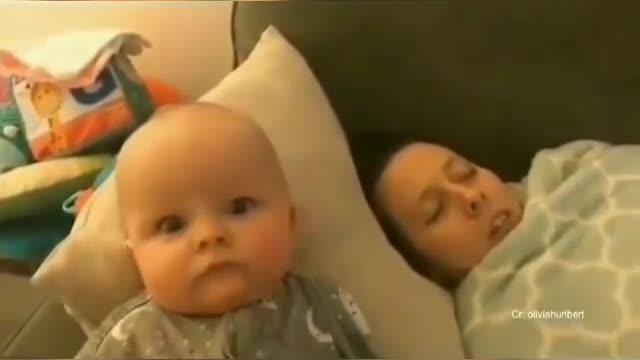 ''Toddlers'' reaction is just So Cute
