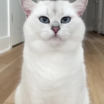 Did little twerking😍