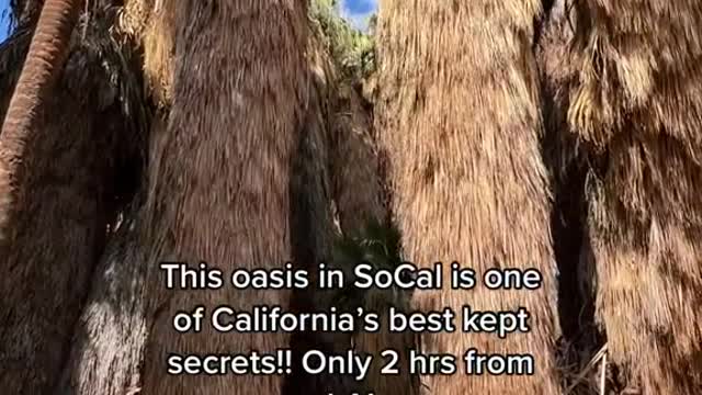 This oasis in SoCal is one of California's best kept