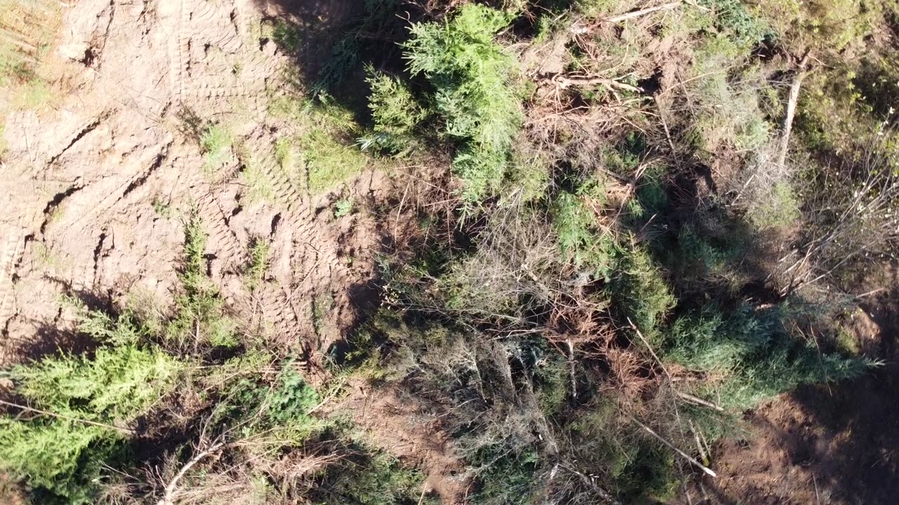 Clearing Camp Property 10.8.24