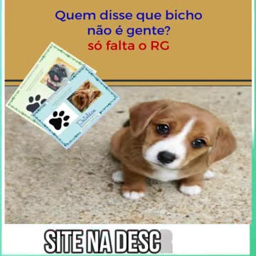 so don't laugh kkk #shorts funny pets 2021 hahahah