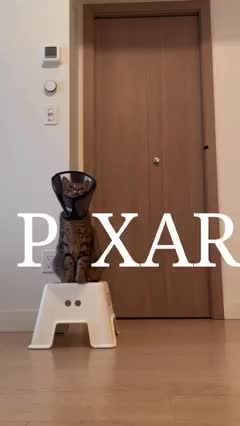 Pixar's new opening