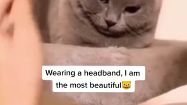 Funny & Cute compilation | Cute compilation. #shorts