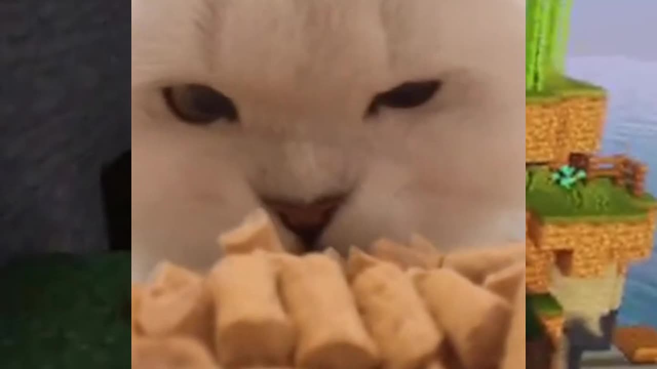 Cute Mukbang😍