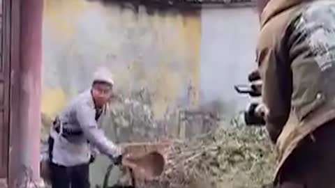 Try Not To Laugh | Funny Video *38#Shorts
