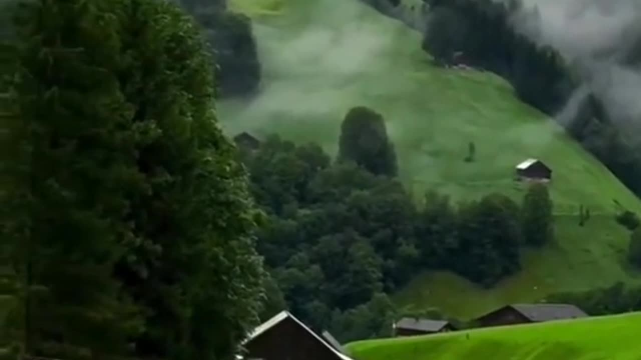 #Useful#Beautiful#Funny #Funny video#laugh# interesting#video#short video#short#short cut