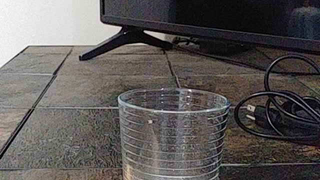 Snow Maiden & Ginger Snaps