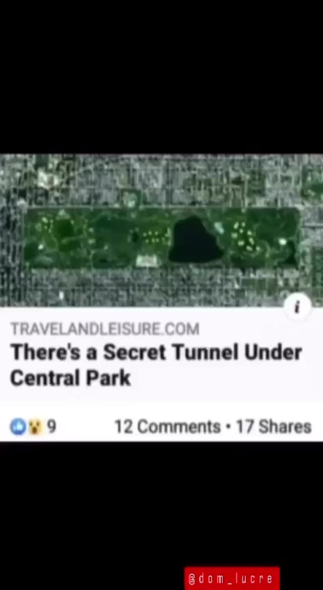 Flashback: The White Tents in Central Park 2020