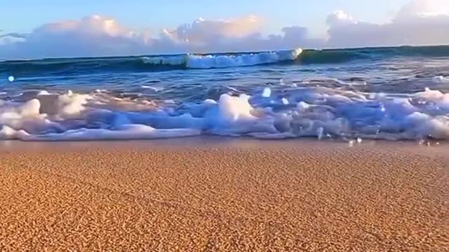 The nature of all things to nurture man, man has no virtue to repay heaven.