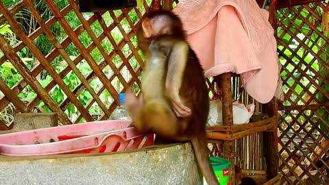 Cute Baby Rotine