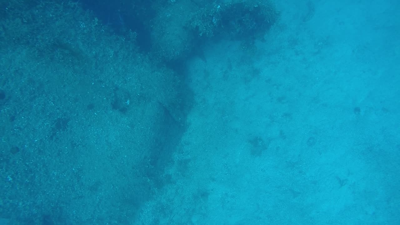 Kensho Maru Propeller