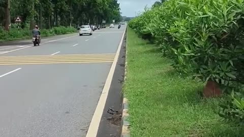 College Students Reaction Super Bike