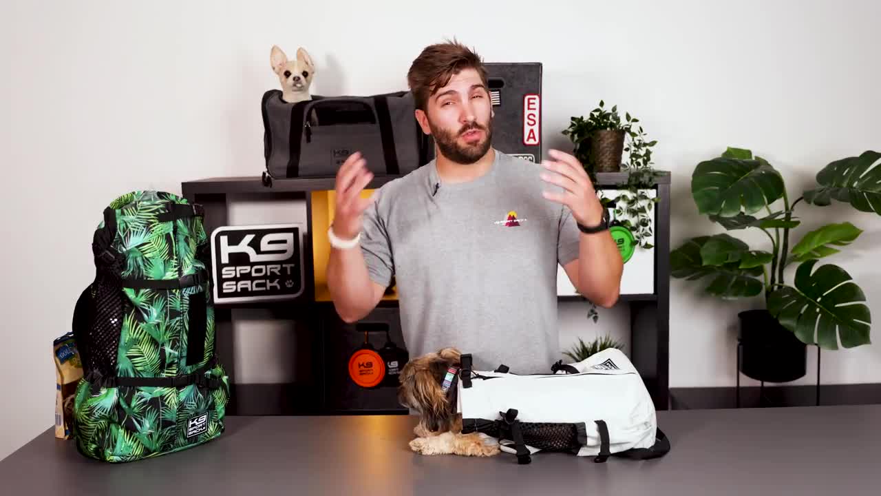 How To Get Your Dog InTo A Backpack Carrier - K9 Sport Sack