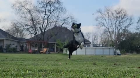 Lucky exercising