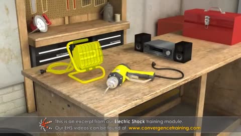 Electric Shock Training