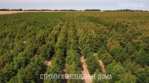Костробетон, уникальный строительный материал с экологическими свойствами.