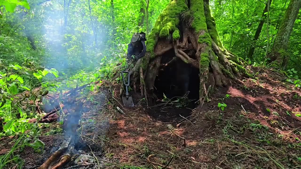 How to Build an A-Frame Shelter in the Wild