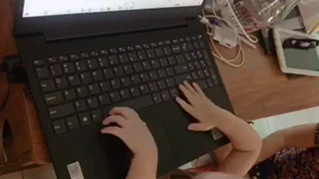 My nephew can't walk yet but he likes to play with computers like a real expert.