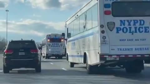 What is Happening in New York?