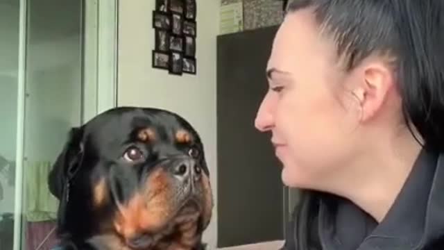 .Bark At Your Dog Challenge 😅 #shorts