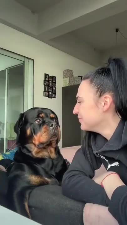 .Bark At Your Dog Challenge 😅 #shorts