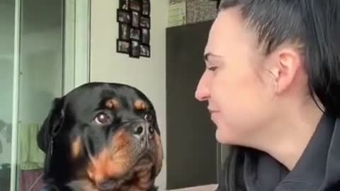 .Bark At Your Dog Challenge 😅 #shorts