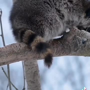 MORNING WORLD 🌎 🙏🙏