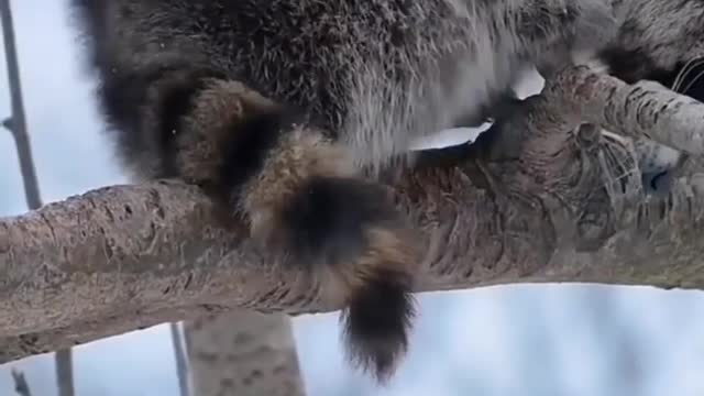 MORNING WORLD 🌎 🙏🙏