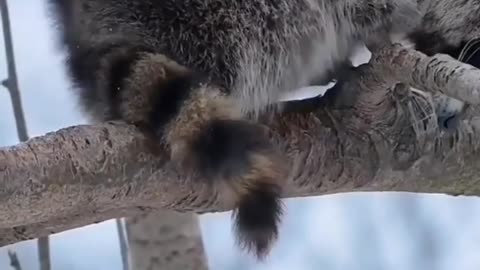 MORNING WORLD 🌎 🙏🙏