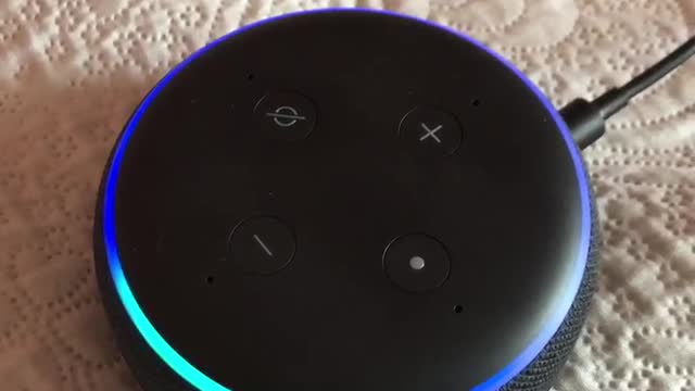 Alexa e la popolazione in Italia nel 2025! Scandaloso.