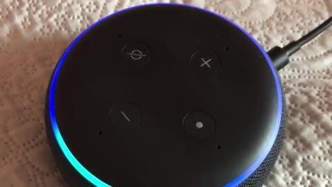 Alexa e la popolazione in Italia nel 2025! Scandaloso.