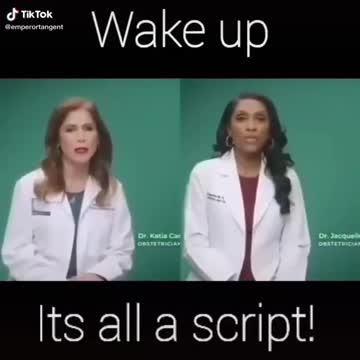 Everything is scripted...