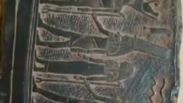 See the beetles of the pharaohs and their variety, made with high technology and professionalism