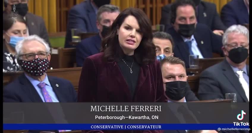 Parliament still calling out Natzi Castreau