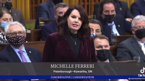 Parliament still calling out Natzi Castreau